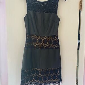 Bailey 44 Black Lace Panel Mini Dress